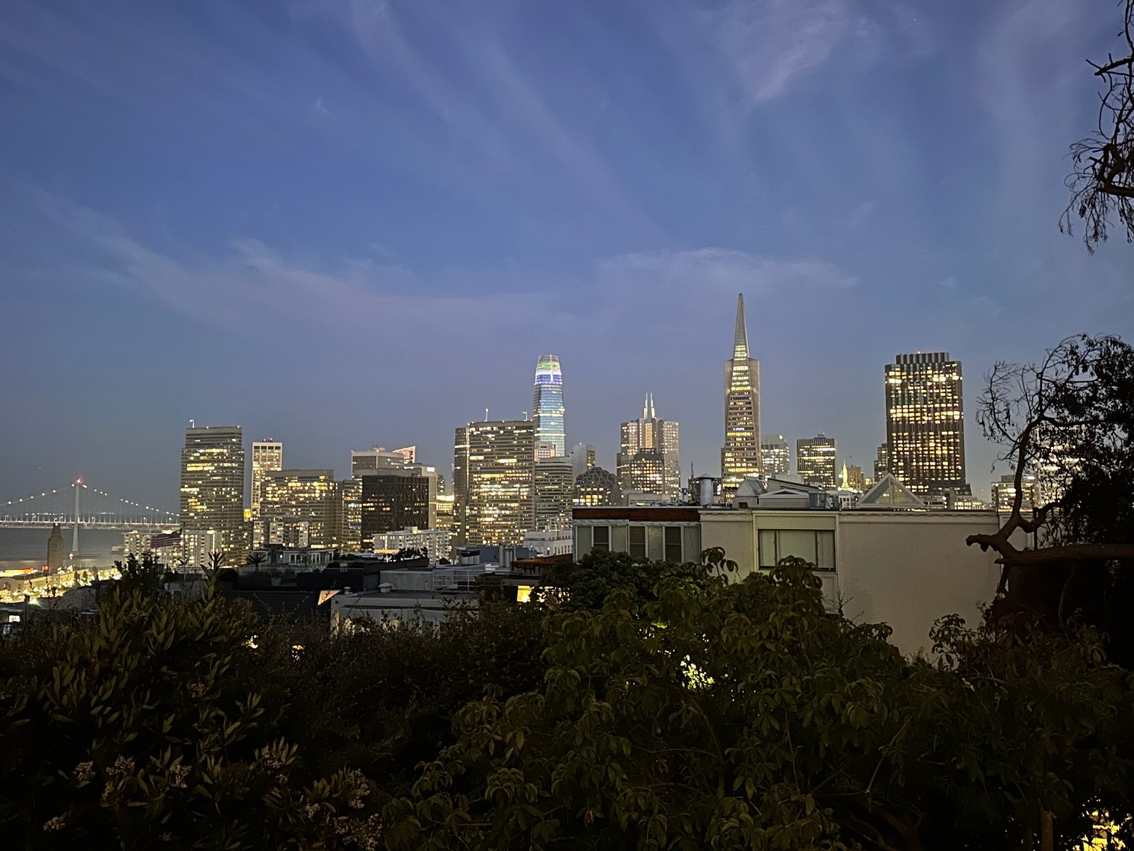 San Francisco Skyline at Twilight